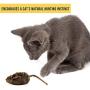 OurPets Play-N-Squeak Mouse Hunter Cat Toy (Interactive Cat Toy & Catnip Toy with Real Mouse Electronic Sound Catnip Toys for Cats) Perfect Cat Toys for Indoor Cats with Catnip)