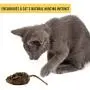 OurPets Play-N-Squeak Mouse Hunter Cat Toy (Interactive Cat Toy & Catnip Toy with Real Mouse Electronic Sound Catnip Toys for Cats) Perfect Cat Toys for Indoor Cats with Catnip)