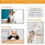 mihealpet 2 Pack Pet Call Bell Dog Toys IQ Training Dog Cat Meal Feeding Ringer Educational Toy Puppy Pets Toys Interactive Bell Eating Ball-Shape with 1 Doorbell