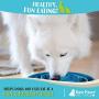 Raw Paws Slow Feeder Dog Bowl & Cat Slow Feeder Bowl - Maze Dog Bowl to Slow Down Eating - Dog Bowl for Fast Eaters - Dog Puzzle Bowl for Slower Eating - Slow Drink Water Bowl for Dogs