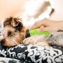 DYAprWu Silicone Pet Bath Brush Massage Grooming Comb for Long & Short Hair Dogs Cats