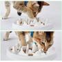 kathson Cat Slow Feeder Bowl, Ceramic Slow Eating Bowl Fun Interactive Feeder Prevent Feeder Anti Gulping Healthy Diet Pet Bowls Against Bloat Indigestion Obesity