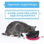 N/M Dressyougo Spill Proof Slanted Dog Bowl, Tilted Food Water Bowl & Non-Skid Silicone Mat for French Bulldog and Cats, Easier to Access Food