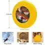 Pet Frisbee Flying Disc Dog Toy - Multifunction Two Tigers 1973 Gorka Polish Circus Poster_1024x1024 Pet Frisbee Flying Disc Dog Toy - Multifunction Two Tigers 1973 Gorka Polish Circus Poster_1024x1024