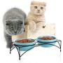 Y YHY Cat Food Bowls, Raised Cat Bowls for Food and Water, Ceramic Cat Bowls Elevated, Cat Dishes for Cat or Small Dogs,12 Ounces, Cute Cat Design, Dishwasher Safe