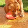 3 Pack Dog Frisbees, Disc Flyer Dog Toy (20cm) - Bright Vibrant Colours - Perfect for Dog Training, Throw (Random Color)