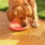 3 Pack Dog Frisbees, Disc Flyer Dog Toy (20cm) - Bright Vibrant Colours - Perfect for Dog Training, Throw (Random Color) 3 Pack Dog Frisbees, Disc Flyer Dog Toy (20cm) - Bright Vibrant Colours - Perfect for Dog Training, Throw (Random Color)
