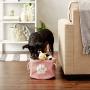 Bone Dry Pet Storage Collection Collapsible Bin, Small Round, Rose