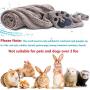 NLUJGYAV Dog Towel Super Absorbent Small Microfiber Fast Dry Plush Soft Shower Travel Pet Towels Suitable for Cats Puppies Abou3 Pounds and Chihuahua Dogs
