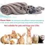 NLUJGYAV Dog Towel Super Absorbent Small Microfiber Fast Dry Plush Soft Shower Travel Pet Towels Suitable for Cats Puppies Abou3 Pounds and Chihuahua Dogs NLUJGYAV Dog Towel Super Absorbent Small Microfiber Fast Dry Plush Soft Shower Travel Pet Towels Suitable for Cats Puppies Abou3 Pounds and Chihuahua Dogs