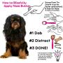 The Blissful Dog Nose Butter for Dry Dog Nose