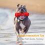 YUEJING Dog Chew Toy for Aggressive Chewers, Durable Dog Toys Tough Rubber Chew Toys, Natural Rubber Chewing Toys for Training & Keeping Pets Fit