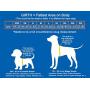 Muffin’s Halo Blind Dog Harness Guide Device – Help for Blind Dogs to Avoid Accidents & Build Confidence – Ideal Blind Dog Accessory to Navigate Surroundings. Helped Over 30,000 Blind Dogs!