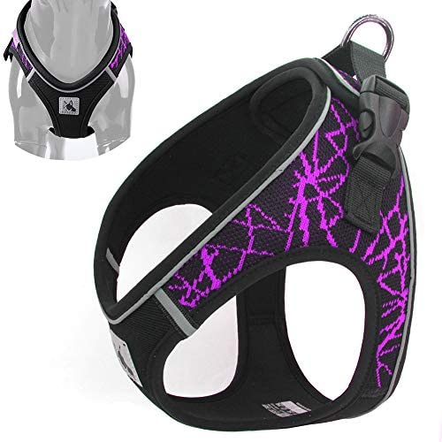 YIEPAL No Choke Reflective Padded Step in Small Dog Harness Adjustable Stylish Sport Puppy Vest Harness