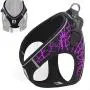 YIEPAL No Choke Reflective Padded Step in Small Dog Harness Adjustable Stylish Sport Puppy Vest Harness YIEPAL No Choke Reflective Padded Step in Small Dog Harness Adjustable Stylish Sport Puppy Vest Harness
