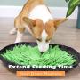 PetFun Snuffle Mat for Dogs, Dog Treat Dispenser Dog Toys for Large Small Dogs Nosework Mat for Dogs Treat Puzzle Dog Snuffle Feeding Mat Interactive PetFun Snuffle Mat for Dogs, Dog Treat Dispenser Dog Toys for Large Small Dogs Nosework Mat for Dogs Treat Puzzle Dog Snuffle Feeding Mat Interactive
