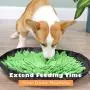 PetFun Snuffle Mat for Dogs, Dog Treat Dispenser Dog Toys for Large Small Dogs Nosework Mat for Dogs Treat Puzzle Dog Snuffle Feeding Mat Interactive