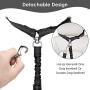 Lukovee Double Dog Seat Belt, Detachable Dual Pet Car Seatbelt Headrest Restraint Safety Belt Adjust No Tangle Dog Leash Reflective Elastic Bungee Lead Splitter for Vehicle Travel Walking 1 or 2 Dogs