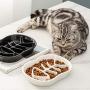 DotPet Cats Slow Feeder Bowl, Unique Fish-Bone Fun Interactive Design Ceramic Cat Dog Anti-Gulping Healthy Eating Diet Slow Feeder Ceramic Cat Bowl, Against Bloat, Indigestion and Obesity