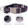 ThinkPet Cute Puppy Dog Collar and Lead Set Colorful Strong Adjustable for Small Dogs