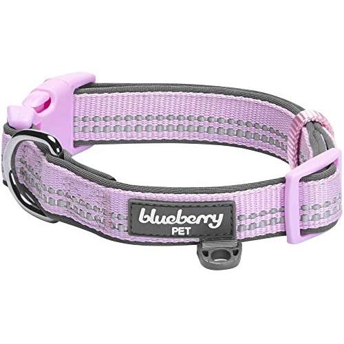 Blueberry Pet 10+ Colors Soft & Safe 3M Reflective Pastel Color Neoprene Padded Dog Collars