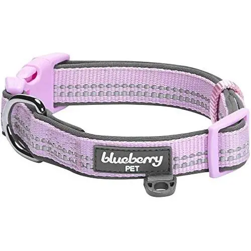 Blueberry Pet 10+ Colors Soft & Safe 3M Reflective Pastel Color Neoprene Padded Dog Collars Blueberry Pet 10+ Colors Soft & Safe 3M Reflective Pastel Color Neoprene Padded Dog Collars