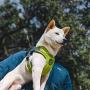 Gooby Dog Harness - Escape Free Memory Foam Step-in Small Dog Harness - Perfect on The Go Four-Point Adjustable - No Pull Harness for Small Dogs or Cat Harness