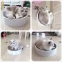Vinyl Etchings Cat Scratcher Pad Bed for Indoor Cats Scratching Post 2-in-1 Cat Round Scratch Cardboard Bed for Large Cats and Kitten