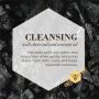 Burts Bees Care Plus+ Deep Cleansing Charcoal & Coconut Oil Shampoo for Dogs | Purifies & Replenishes | 16 oz