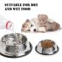 Rapsrk Stainless Steel Dog Cat Bowls for Small/Medium/Large Dogs,Cat Kitten Rabbit Dish with Rubber Base , Pets Feeder Bowl and Water Bowl Perfect Choice (4Pack)