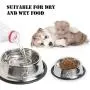 Rapsrk Stainless Steel Dog Cat Bowls for Small/Medium/Large Dogs,Cat Kitten Rabbit Dish with Rubber Base , Pets Feeder Bowl and Water Bowl Perfect Choice (4Pack) Rapsrk Stainless Steel Dog Cat Bowls for Small/Medium/Large Dogs,Cat Kitten Rabbit Dish with Rubber Base , Pets Feeder Bowl and Water Bowl Perfect Choice (4Pack)