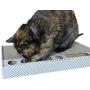 3CatS Cat Toy and Scratcher with Jingle Balls in Track - Cardboard Cat Scratching Box