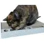 3CatS Cat Toy and Scratcher with Jingle Balls in Track - Cardboard Cat Scratching Box 3CatS Cat Toy and Scratcher with Jingle Balls in Track - Cardboard Cat Scratching Box