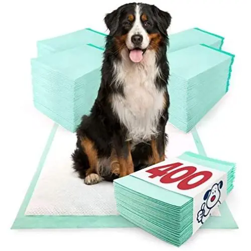 ValuePad Plus Puppy Pads, Extra Large 28x36 Inch, 400 Count - Premium Pee Pads for Dogs, Tear Resistant, Super Absorbent Polymer Gel Core, 5-Layer Design
