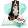 ValuePad Plus Puppy Pads, Extra Large 28x36 Inch, 400 Count - Premium Pee Pads for Dogs, Tear Resistant, Super Absorbent Polymer Gel Core, 5-Layer Design