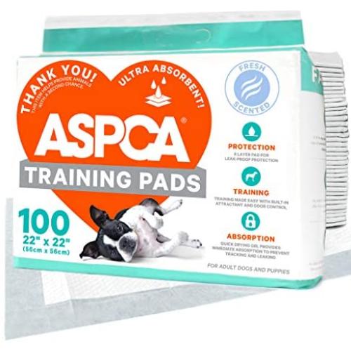 ASPCA AS62930 Dog Training Pads, Pack of 100, Gray, 22'' x 22'' - Pack of 100