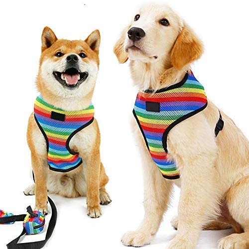 Dog No-Pull Harness Vest & Leash Set with Poopbags Pouch,Rainbow Adjustable Double-Layer Mesh Pet Clothes for Puppy Teddy Shar Pei Small Medium Dogs,Breathable Padded Handle,Daily Walking Travelling
