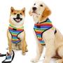 Dog No-Pull Harness Vest & Leash Set with Poopbags Pouch,Rainbow Adjustable Double-Layer Mesh Pet Clothes for Puppy Teddy Shar Pei Small Medium Dogs,Breathable Padded Handle,Daily Walking Travelling