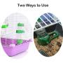 125ml/4oz Pet Drinking Bottle with Food Container Base Hanging Water Feeding Bottles Auto Dispenser for Hamsters Rats Small Animals Ferrets Rabbits Small Animals (125ML, Green)