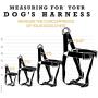 Wolfgang Man & Beast Premium USA Webbing No-Pull Dog Harness for Small Medium Large Dogs