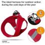 Curli Vest Harness Softshell with Air-Mesh Lining Step-in Dog Harness Lightweight Breathable Dog Harnesses for Small Medium Dogs