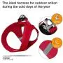 Curli Vest Harness Softshell with Air-Mesh Lining Step-in Dog Harness Lightweight Breathable Dog Harnesses for Small Medium Dogs Curli Vest Harness Softshell with Air-Mesh Lining Step-in Dog Harness Lightweight Breathable Dog Harnesses for Small Medium Dogs