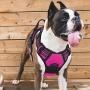 Vovodog Dog Harness No-Pull Pet Harness, Adjustable Outdoor Walking Pet Reflective Oxford Soft Vest with 2 Metal Rings and Handle Easy Control for Small Medium Large Dogs…