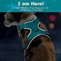 Wisdoman Cat Harness and Leash for Walking, Escape Proof Soft Mesh Adjustable Vest Harnesses for Cats Kitten Dog, Easy Control Breathable Reflective Strips Vest for Small Medium Cats