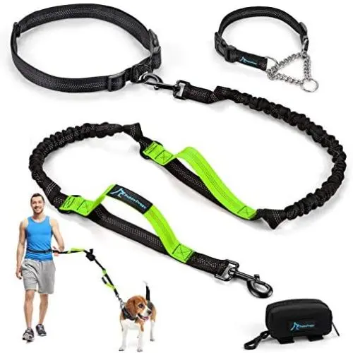 PuppyDoggy Hands Free Dog Leash Reflective 6 ft for Large and Medium Dogs with Adjustable Waist Belt & Chain Martingale Dog Collar & Poop Bag Dispenser for Running Walking Training (Medium, Green)