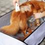 La La Pet Folding Non-Stick Pet Grooming Tent Dog Hair Catcher Cat Hair Cutting Tray Puppy Hair Trimming Organizer La La Pet Folding Non-Stick Pet Grooming Tent Dog Hair Catcher Cat Hair Cutting Tray Puppy Hair Trimming Organizer