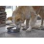 OurPets DuraPet Slow Feed Premium Stainless Steel Dog Bowl (Durable Stainless Steel Dog Bowls, Slow Feeder Dog Bowls, Dog Food Bowl, Dog Water Bowl) Great Alternative to Snuffle Mat for Dogs