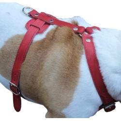Genuine Leather Dog Harness, 37''-45'' Chest, 1'' Wide Straps. XXLarge. Newfoundland, Great Dane