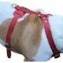 Genuine Leather Dog Harness, 37''-45'' Chest, 1'' Wide Straps. XXLarge. Newfoundland, Great Dane