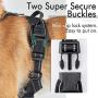 rabbitgoo Dog Harness, No-Pull Pet Harness with 2 Leash Clips, Adjustable Soft Padded Dog Vest, Reflective No-Choke Pet Oxford Vest with Easy Control Handle for Small Dogs, Black, S